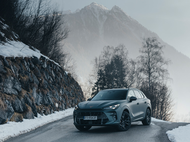 cupra terramar zima górska